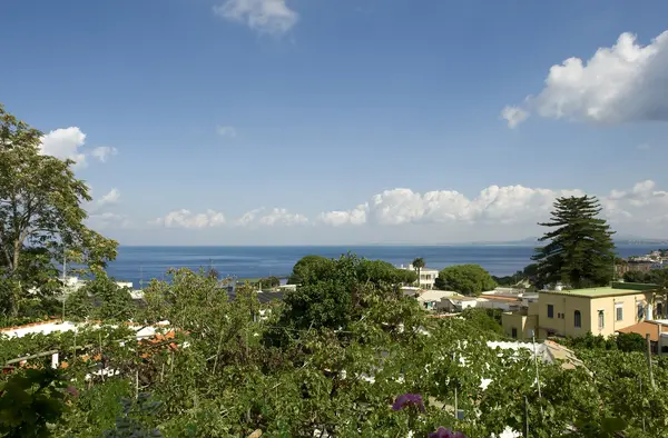 Hotel Hotel Matarese a Casamicciola Terme